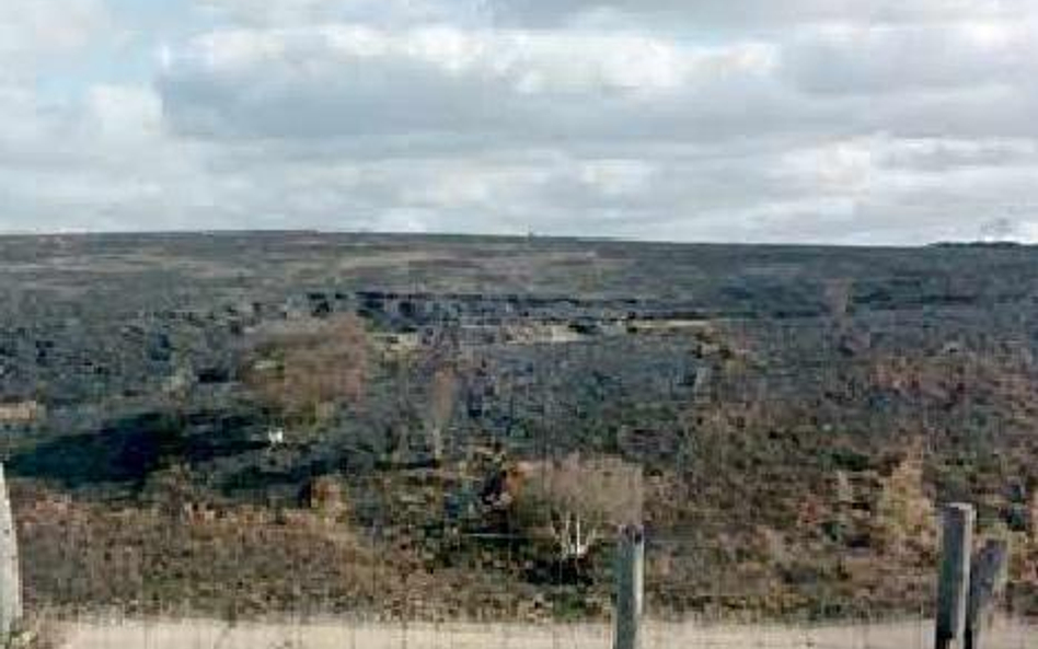 Po pożarze lasu w North York Moors