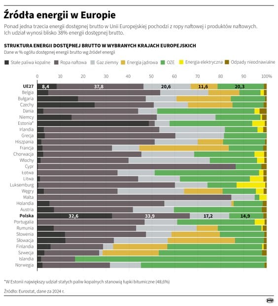 Struktura energii dostępnej brutto w wybranych krajach europejskich