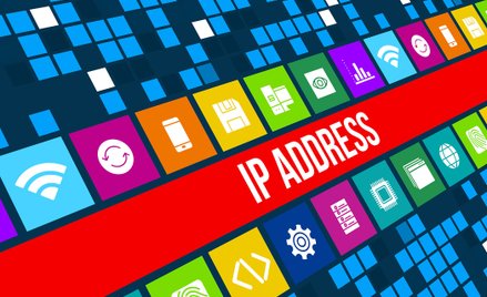 Internetowi piraci nie mogą pozostawać bezkarni