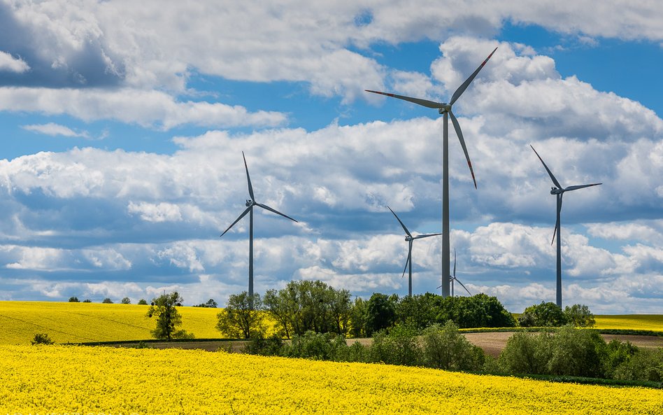 Onde szuka współinwestorów dla elektrowni