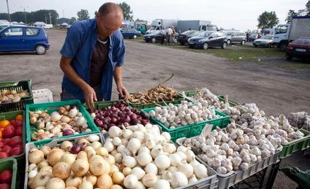Stawki podatków i opłat lokalnych w 2013: ile zapłacimy za nieruchomość, ciężarówkę i psa