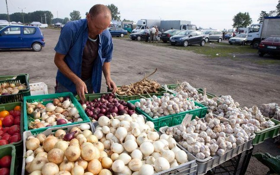 Stawki podatków i opłat lokalnych w 2013: ile zapłacimy za nieruchomość, ciężarówkę i psa
