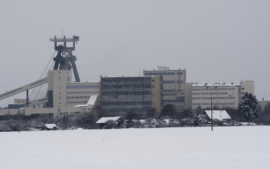 Nowe warunki dostaw węgla do Enei źle wróżą Bogdance na kolejne lata