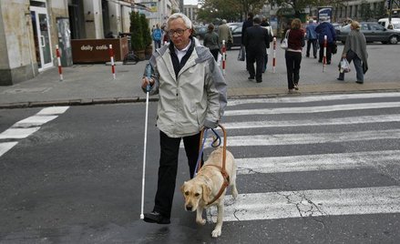 Cudowne białko uchroni przed utratą wzroku