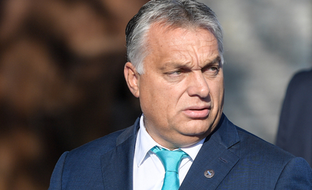 Bartkiewicz: Polska toczy wojny za Orbana
