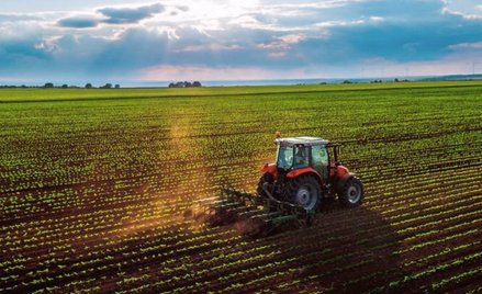 Apel byłych ministrów rolnictwa do premiera: czasy takie, że potrzeba ważnych zmian