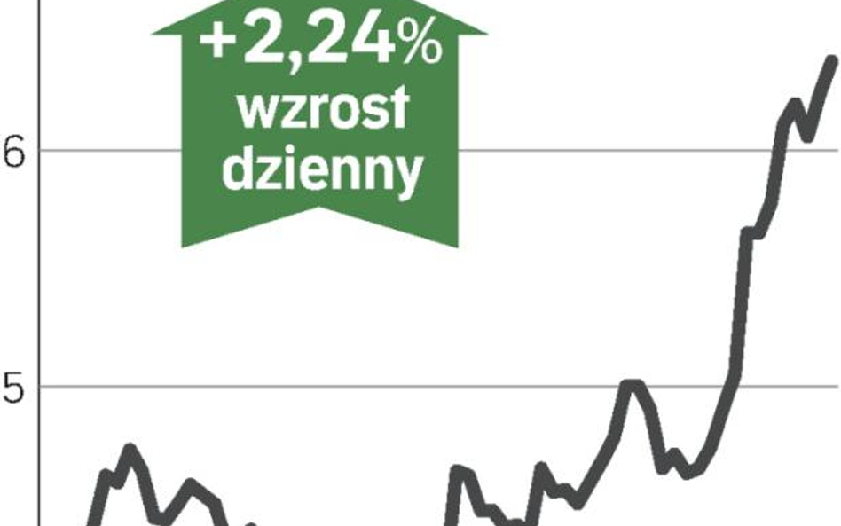 Prognoza pomogła notowaniom