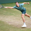 Hubert Hurkacz zagra w półfinale w Halle