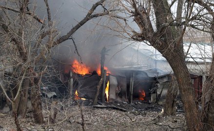 zdjęcie ilustracyjne