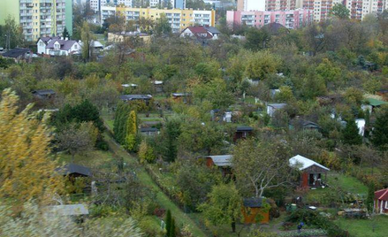 Przed wyrokiem TK z 11 lipca 2012 żadnemu byłemu właścicielowi nie udało się odzyskać gruntu pod ogr