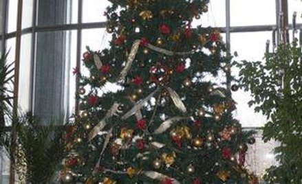 Świąteczne kartki, ozdoby i choinka to nie reprezentacja