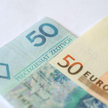 Rząd posłał 11 mld euro na rynek walutowy