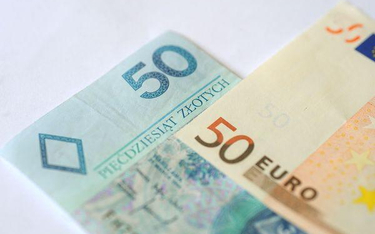 Rząd posłał 11 mld euro na rynek walutowy