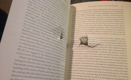 Książka, która uratowała życie