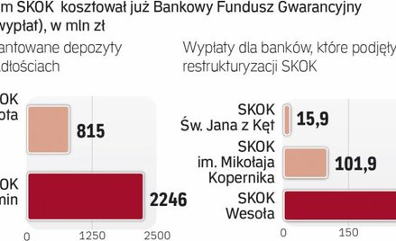 SKOK poważnie uszczupliły zasoby BFG