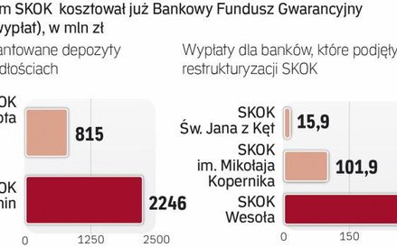 SKOK poważnie uszczupliły zasoby BFG