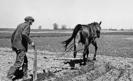 Chłopi też zachowują się racjonalnie. Kiedy w latach 70. rząd Jaroszewicza podniósł ceny paliw, spad