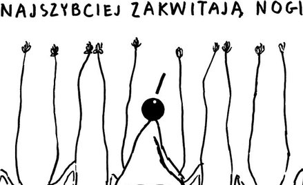 Rysuje Janusz Kapusta