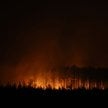 Pożar w departamencie Żyrondy wymusił ewakuację 220 tysięcy osób