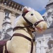 Razem przedstawia "wehikuł Tuska": konika na biegunach