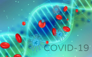 Covid-19 może długotrwale zmieniać komórki krwi