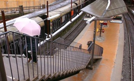 Duńskie pociągi stanęły