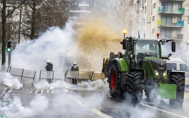 Protest rolników w Brukseli, 26 lutego