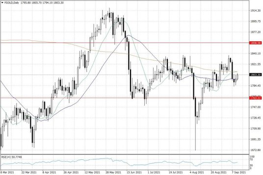 Notowania złota – dane dzienne