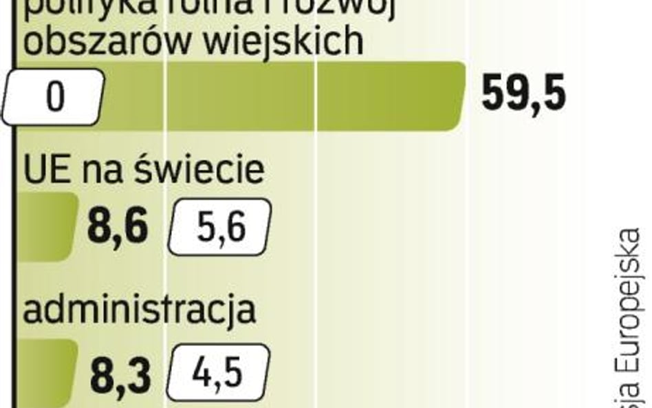 Największą pozycją w budżecie pozostanie polityka spójności. Do Polski trafi z tego tytułu w 2011 r.