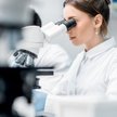 Holenderska uczelnia nie będzie zatrudniać mężczyzn