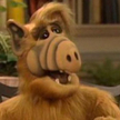 Umarł Michu Meszaros, serialowy Alf
