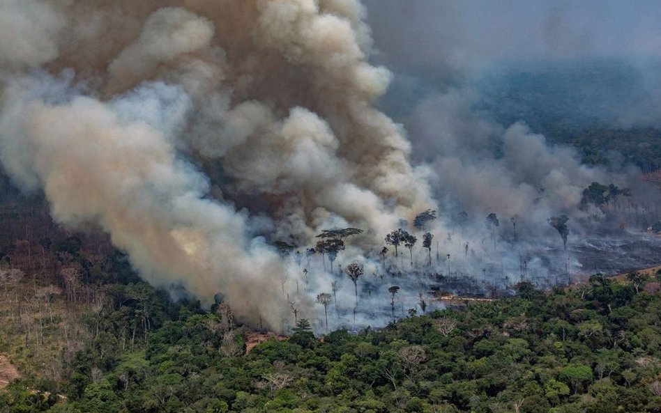 Pożary w Amazonii: Brazylia odrzuca pomoc G7