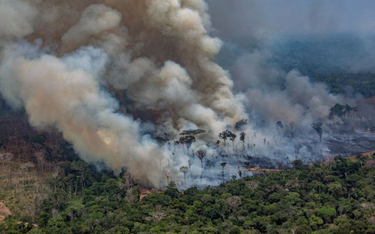 Pożary w Amazonii: Brazylia odrzuca pomoc G7