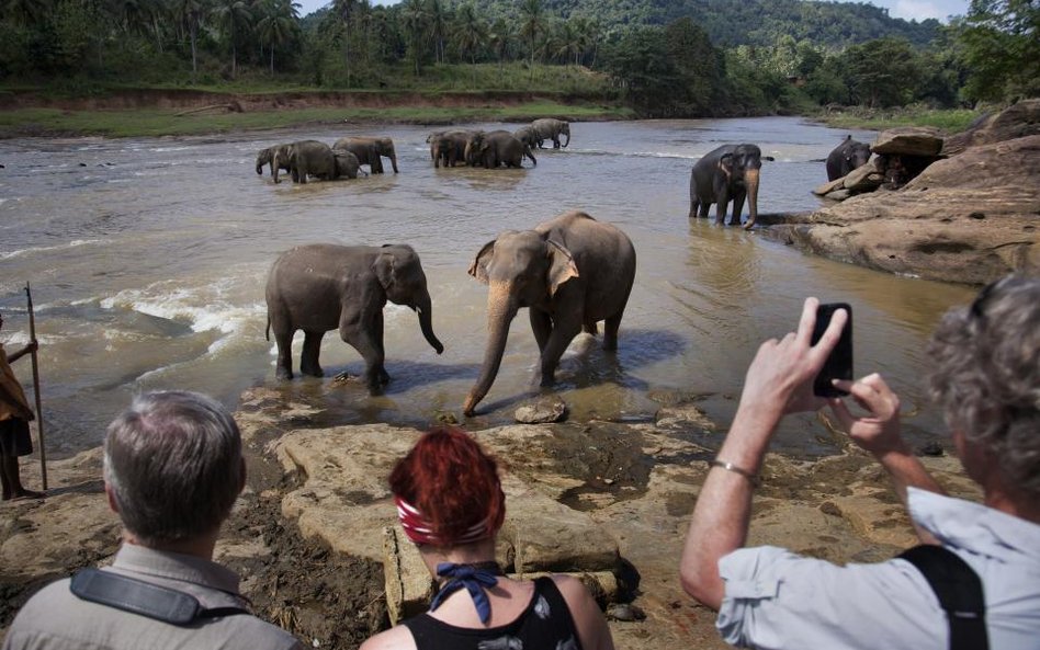 W światowej turystyce kolejny rekord