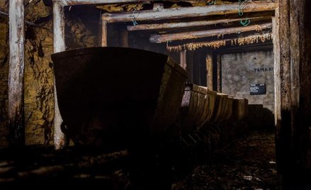 Kopalnia w Tarnowskich Górach należy do największych atrakcji regionu