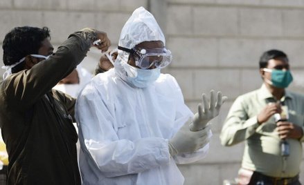 W styczniu w Indiach, z powodu infekcji wirusem grypy H5N1, uśmiercono tysiące ptaków