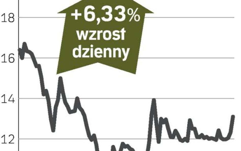 Le Guern pokieruje Petrolinvestem