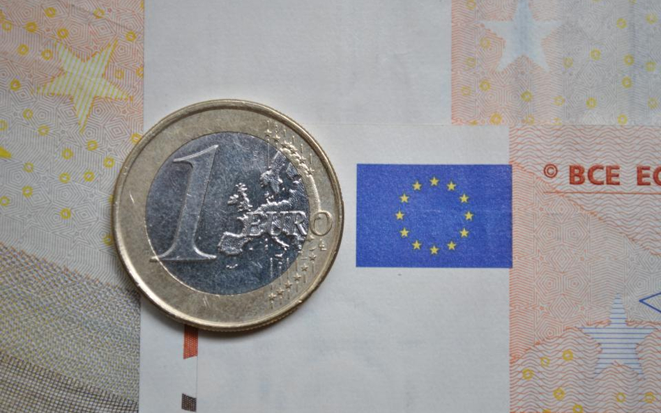 Podsumowanie debaty o euro
