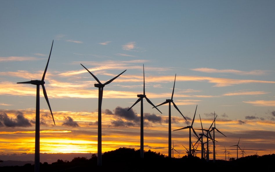 Ustawa wprowadza ułatwienia pozwalające na modernizację istniejących już elektrowni wiatrowych