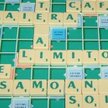 Mistrz francuskiego scrabble nie mówi po francusku