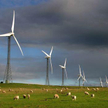 Farmy wiatrowe nie takie straszne