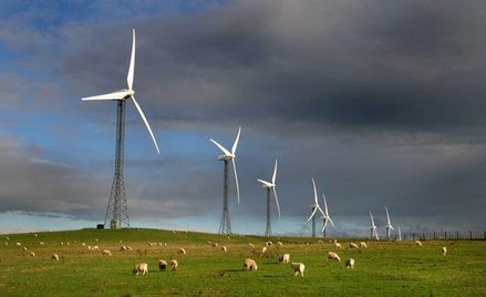 Farmy wiatrowe nie takie straszne