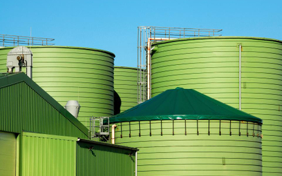 Biomass Energy: KE wesprze projekt?