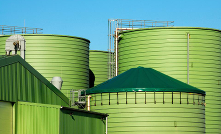 Biomass Energy: KE wesprze projekt?