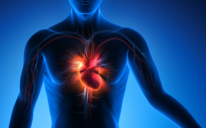 Najnowsze metody leczenia arytmii: Serce na trójwymiarowej mapie