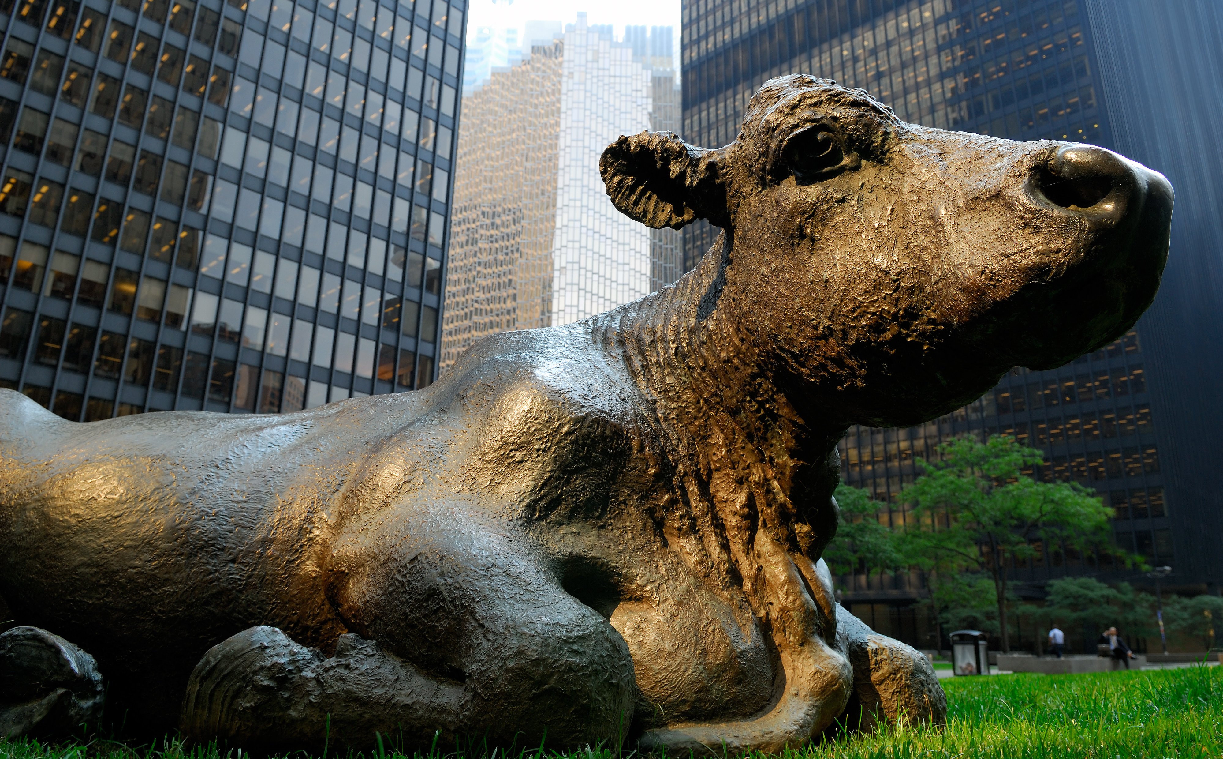 Byki tygodnia, czyli spółki z pozytywnymi sygnałami analizy technicznej