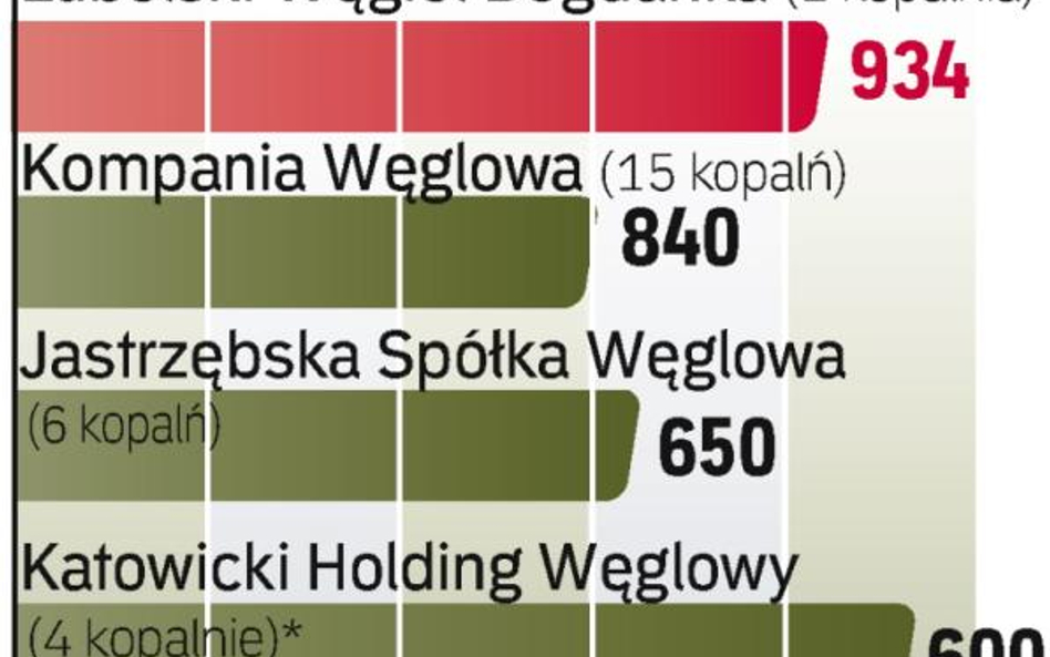 Wielkie wydatki. Według resortu gospodarki kopalnie w ciągu kilku lat powinny wydać 20 mld zł na inw