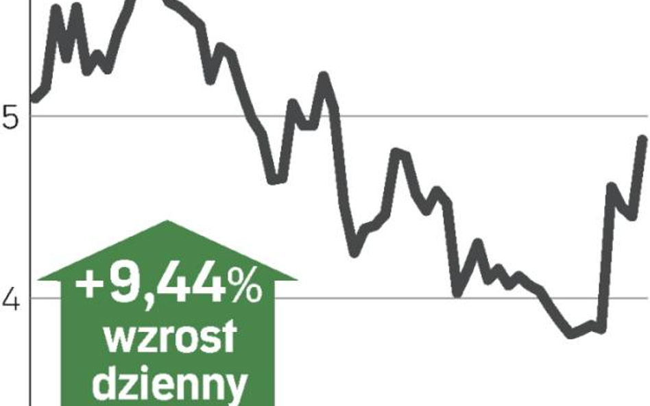 Wzrost dzięki Centernetowi