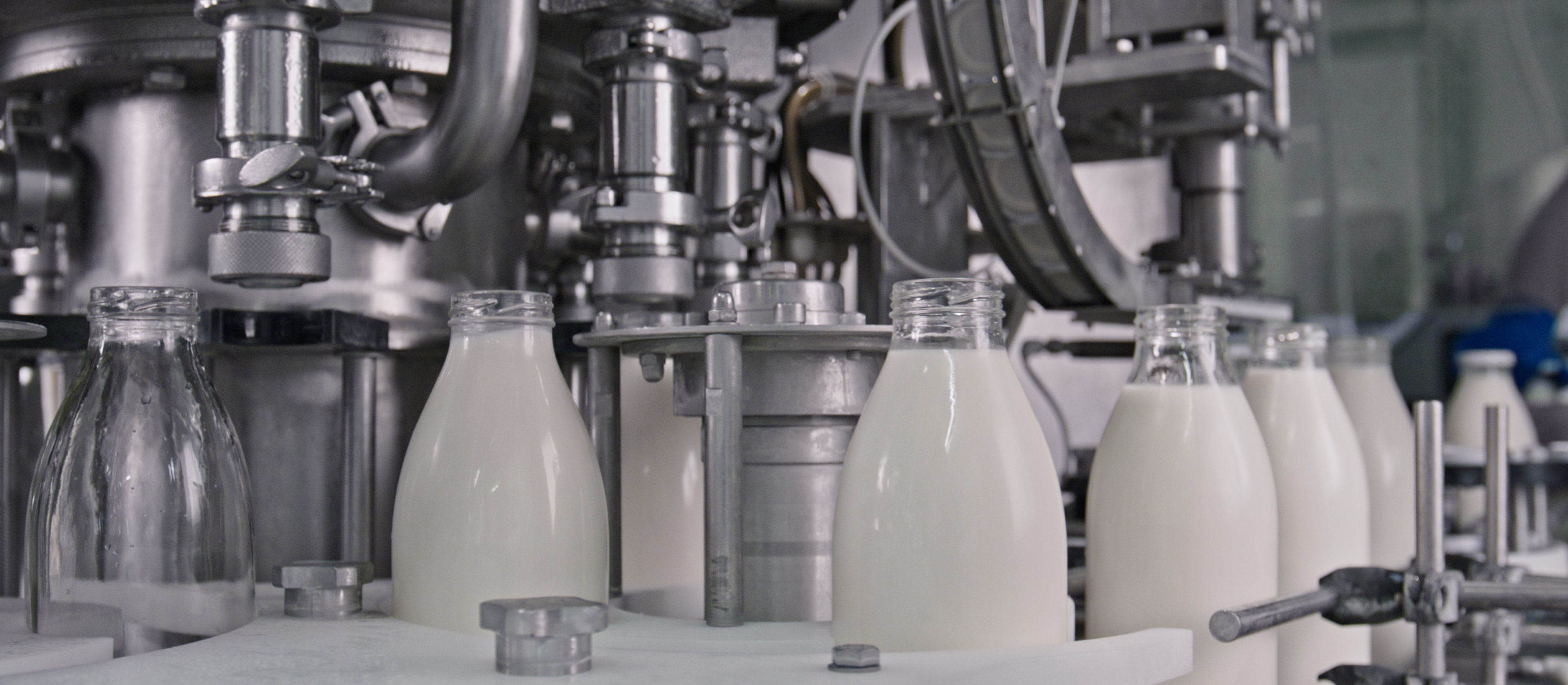 Dolewali wodę do mleka. Rusza proces w głośnej aferze