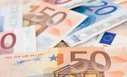 Publikacja indeksu Ifo czynnikiem ryzka dla euro